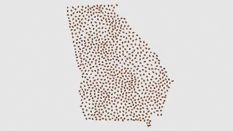 Georgia Coffee Beans Stock Footage 147517314