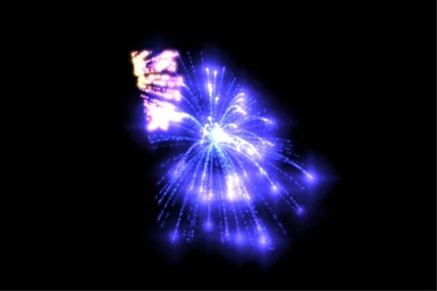 Georgia Fireworks Stock Footage 718368