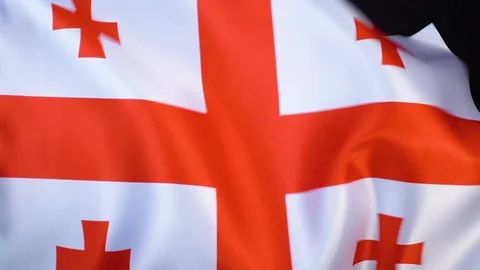 Georgia Flag Flapping Stock Footage 118972791
