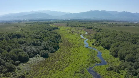 Georgia Stock Footage 114560099