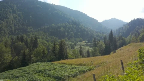 Georgia Stock Footage 114560187