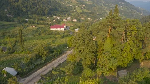 Georgia Stock Footage 114560307