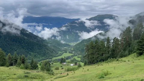 Georgia Stock Footage 208092146