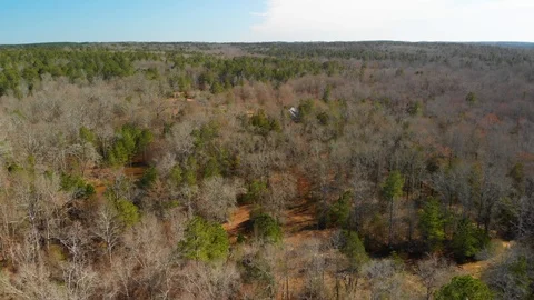 Georgia forest ranch Stock Footage 126681533