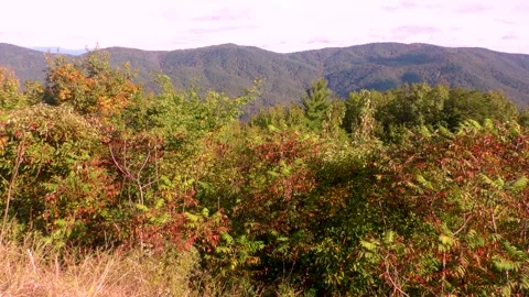 Georgia Fort Mountain Fall  A view of trees and mountains from the highway o Stockbeeldmateriaal 141157931