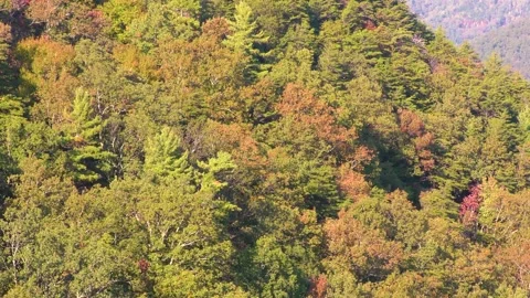 Georgia Fort Mountain Fall  A view of colorful trees from an overlook on For Stock Footage 141158161
