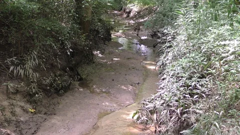 Georgia, Holcomb Bridge, A zoom in on a tiny creek the is flowing by Holcomb Stock Footage 93647349