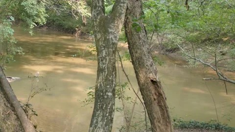 Georgia Hurricane Shoals Park  A pan right to left actoss the North Oconee R 動画素材 161983353