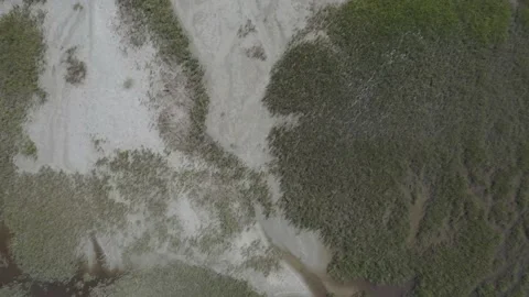 Georgia Marsh Looking Down Video stock 148595108