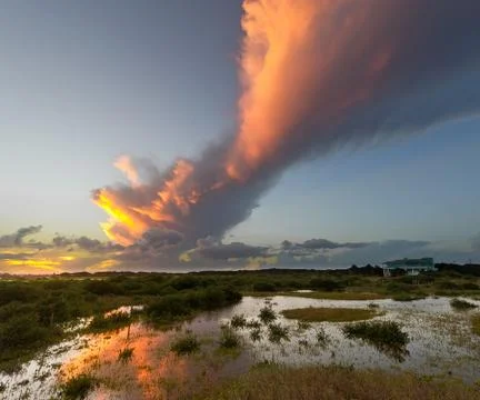 Georgia marsh Stock Photos