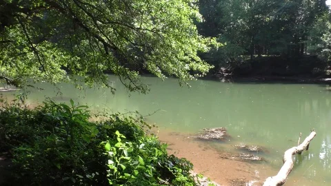 Georgia, Medlock Bridge, Pan across the downstream view of the green Chattaho Stock-Footage 93649876