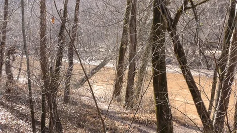 Georgia, Olde Rope Mill Rd Park, Looking downstream Little River through tree Video stock 88114633