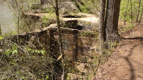Georgia, Olde Rope Mill Rd Park, A wide view of the remains of the Olde Rope Stock Footage 88440361