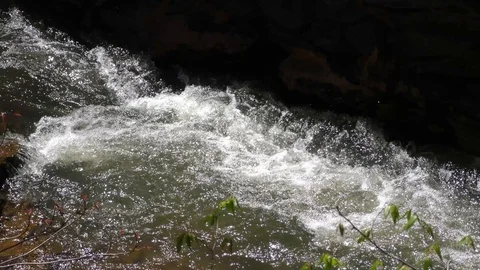 Georgia, Olde Rope Mill Rd Park, Close up of the rapids in the Olde Rope Mill Stock Footage 88441463