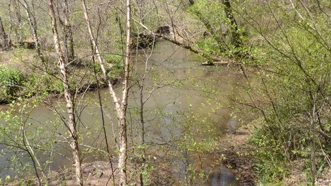 Georgia, Olde Rope Mill Rd Park, Looking downstream on the Olde Rope Mill rac Stock Footage 88447826
