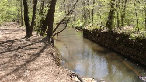 Georgia, Olde Rope Mill Rd Park, Looking upstream at the Olde Rope Mill racew Stock-Footage 88448254