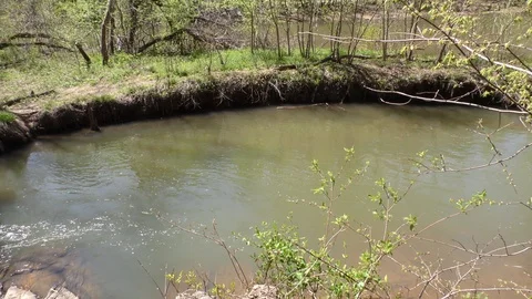 Georgia, Olde Rope Mill Rd Park, The small pool at the end of the Olde Rope M Stock Footage 88448814