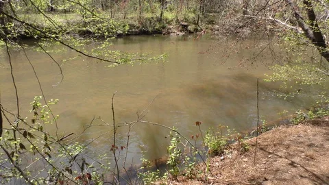 Georgia, Olde Rope Mill Rd Park, Water flowing in the Little River as seen th Stock Footage 88450012