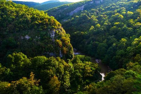 GEORGIA Stock Photos