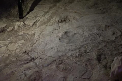 GEORGIA Stock Photos