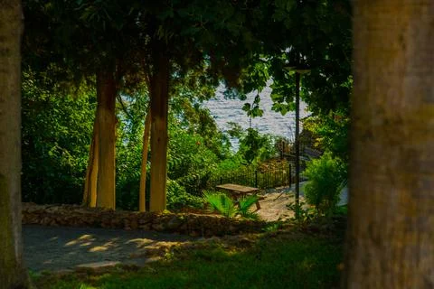 GEORGIA Stock Photos