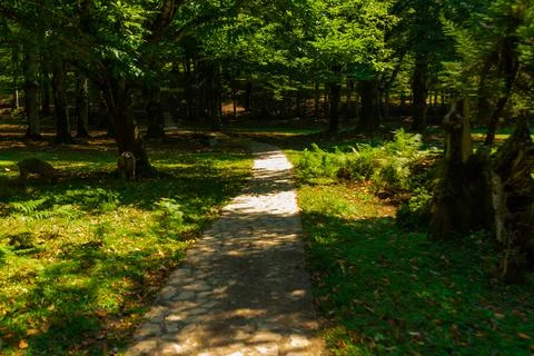 GEORGIA Stock Photos