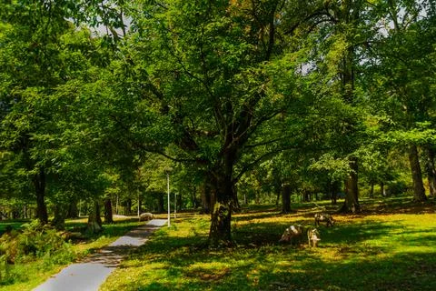 GEORGIA Stock Photos