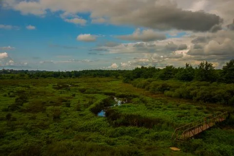 GEORGIA Stock Photos
