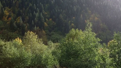 Georgia Pot Gori Mstkheta AGU 2016: Nature and cultural details Video stock 83782853