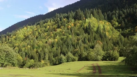 Georgia Pot Gori Mstkheta AGU 2016: Nature and cultural details Stock Footage 83782953