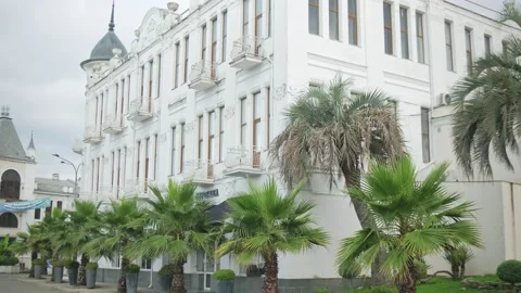 GEORGIA, SUKHUM - JULY 29, 2022 Stock Footage 206991553