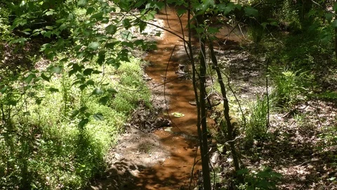 Georgia, Suwanee Creek Park, A tiny creek that flows into Suwanee Creek Video stock 89426161