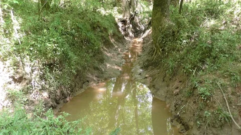 Georgia, Suwanee Creek Park, The tiny creek as it flows through a gully into Stock-Footage 89480525