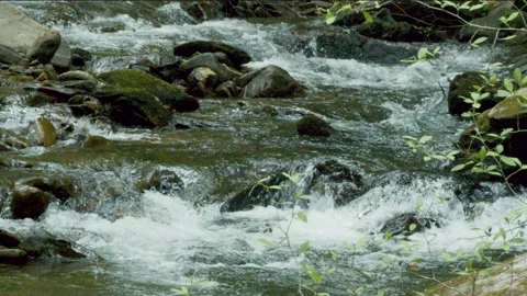 Georgia Vogel Park Springtime  A close up of the small waterfalls on the cre Stock-Footage 153754638