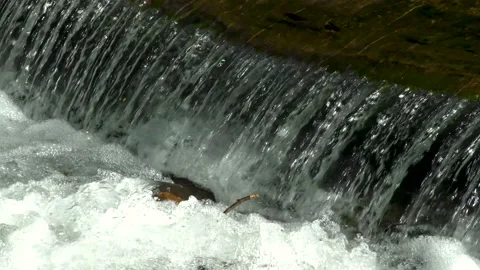 Georgia Vogel Park Springtime  A close up view of a waterfall on Wolf Creek Stock Footage 153765925