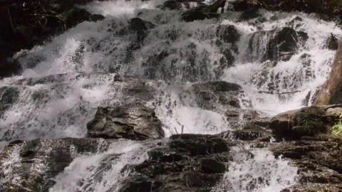 Georgia Vogel Park Springtime  A different angle of water flowing over the r Stock Footage 153752800