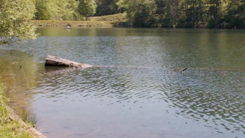 Georgia Vogel Park Springtime  Pan left to right across Lake Trahlyta with t Video stock 153754955