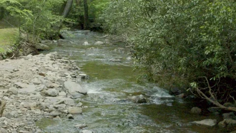 Georgia Vogel Park Springtime  A view looking downstream on the creek that f Stock Footage 153750758