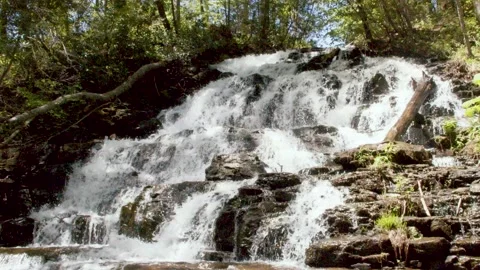 Georgia Vogel Park Springtime  A view of Trahlyta Falls with water, rocks an Vidéo 153758601