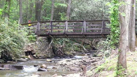 Georgia Vogel Park Springtime  A view of a bridge that crosses the creek tha Stock Footage 153772095