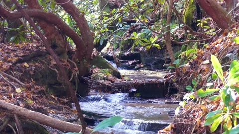 Georgia Winnehaha Falls  A close up of a tiny creek that flows near Minnehah Stockbeeldmateriaal 142338196