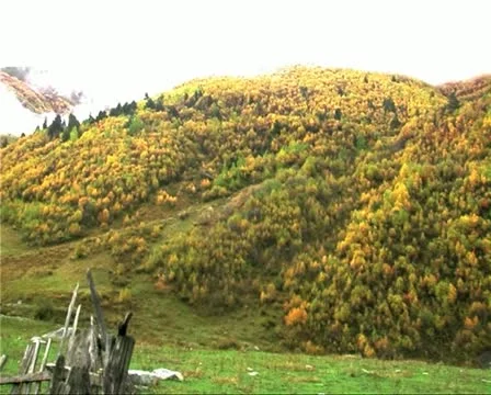 Georgia07Svanetti Stock Footage 21259284