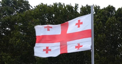 Georgian Flag Is Flying In A Strong Wind On A Background Of Trees And  Mounta Stock-Footage 118088963