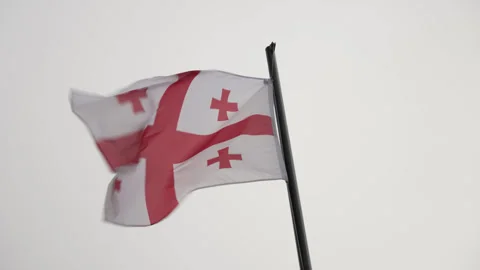 Georgian flag moving in the wind Stock-Footage 318154668