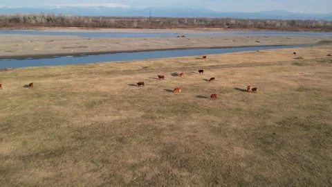 Georgias autumn fields captured from a drone Video stock 307952853