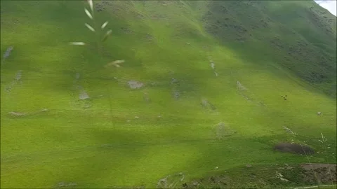 GEORGIA,USHGULI Vidéo 297990882