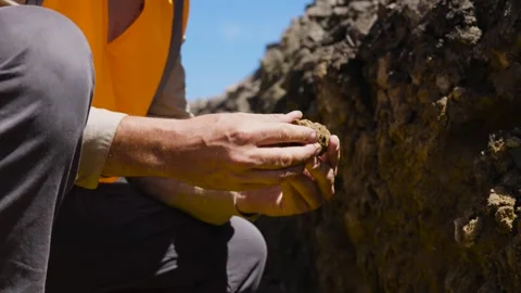 A geotechnical engineer inspects soil composition beside a railway excavation Stock Footage 305470721