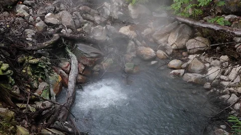 Geothermal activity mud pools in Rincon de la Vieja National Park Costa Rica Video stock 127254175