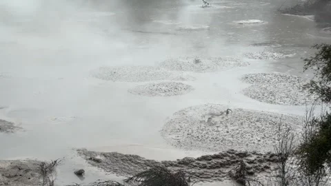 Geothermal bubbling mud pool, Rotorua, New Zealand Stock Footage 320661247