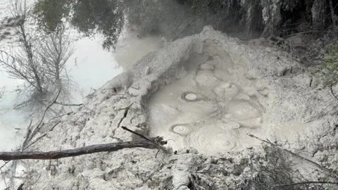 Geothermal bubbling mud pool, Rotorua, New Zealand Stock Footage 320661252